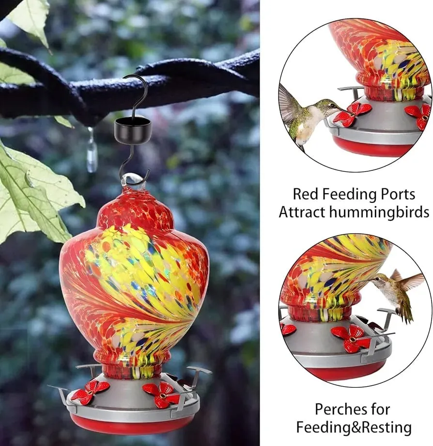 Bebederos Y Comederos Para Colibrí - Imagen 9