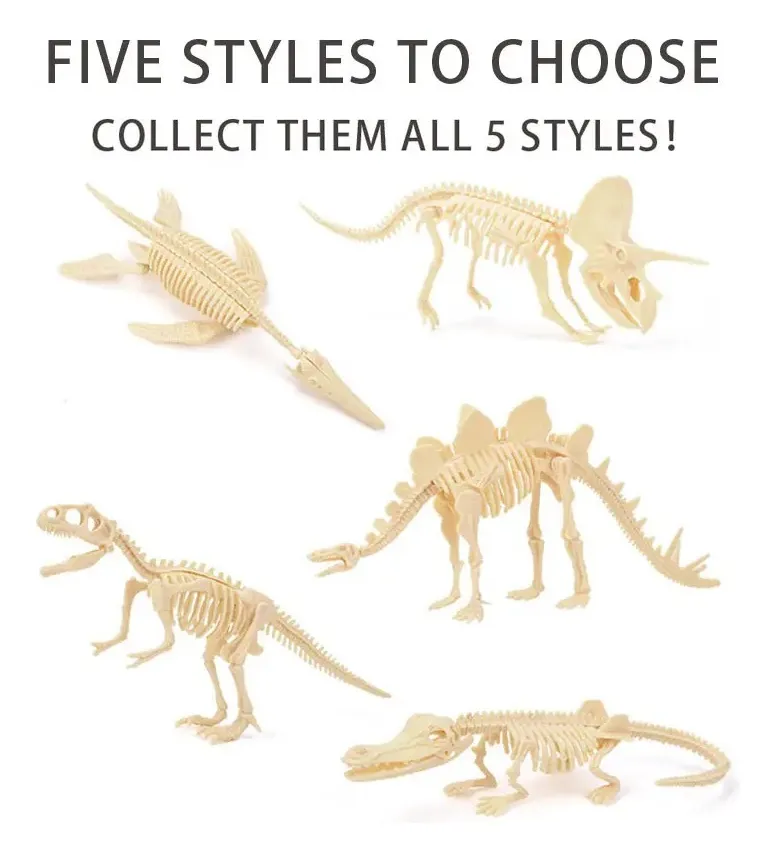 Jurásico Animal Dinosaurio Esqueleto Fósil Set De 5 Pcs - Imagen 10