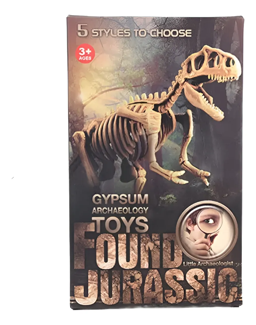 Jurásico Animal Dinosaurio Esqueleto Fósil Set De 5 Pcs