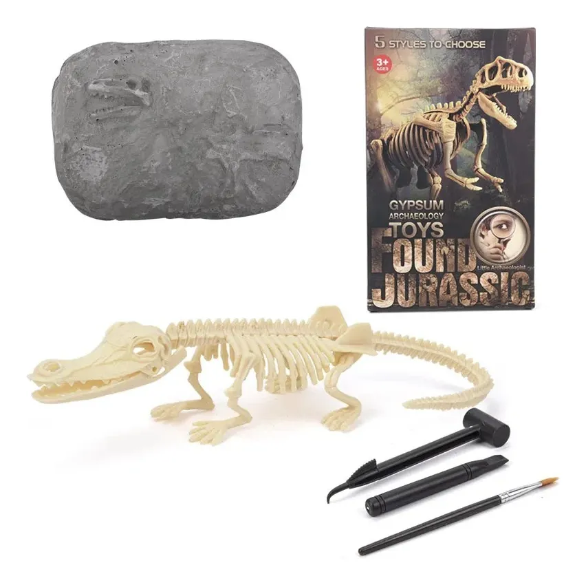 Jurásico Animal Dinosaurio Esqueleto Fósil Set De 5 Pcs - Imagen 3